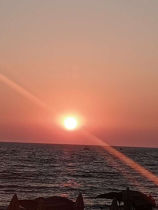 Гостиница Заря Лазаревское-38