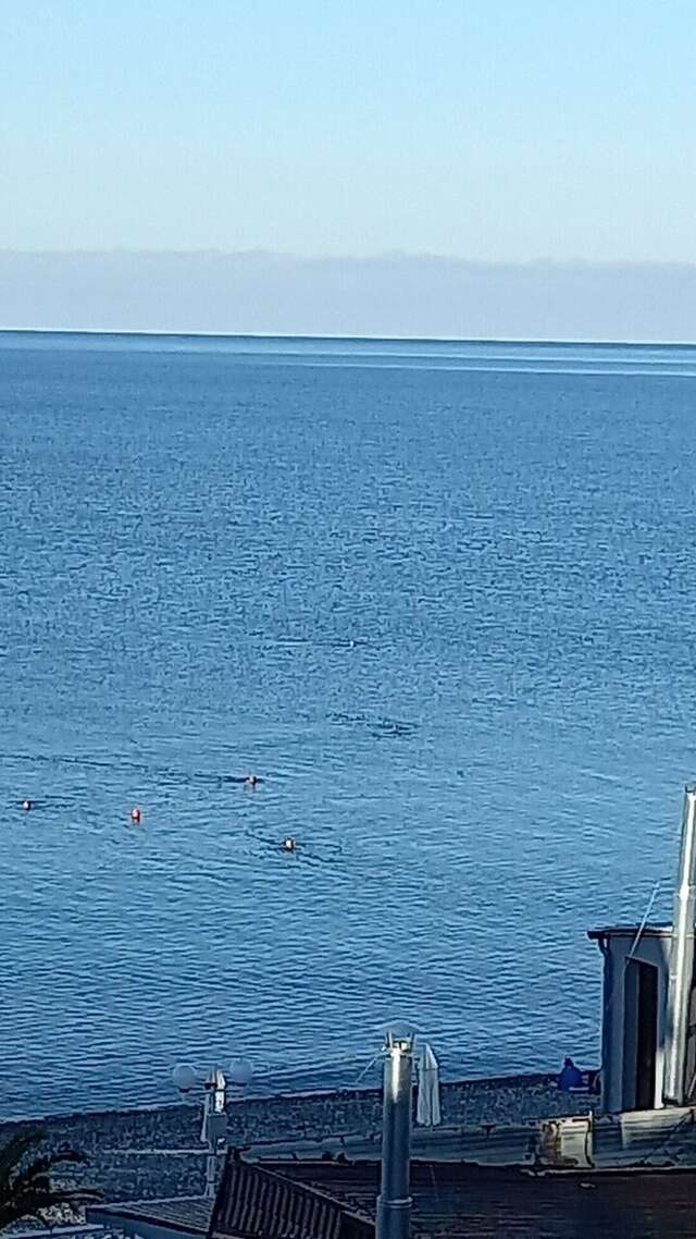 Гостиница Заря Лазаревское-40